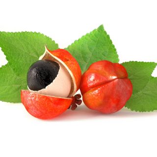 Guaraná